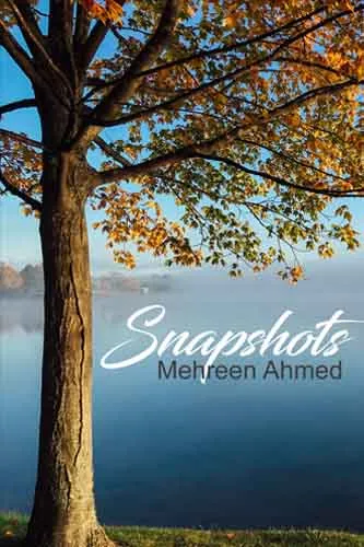 Book cover for Snapshots