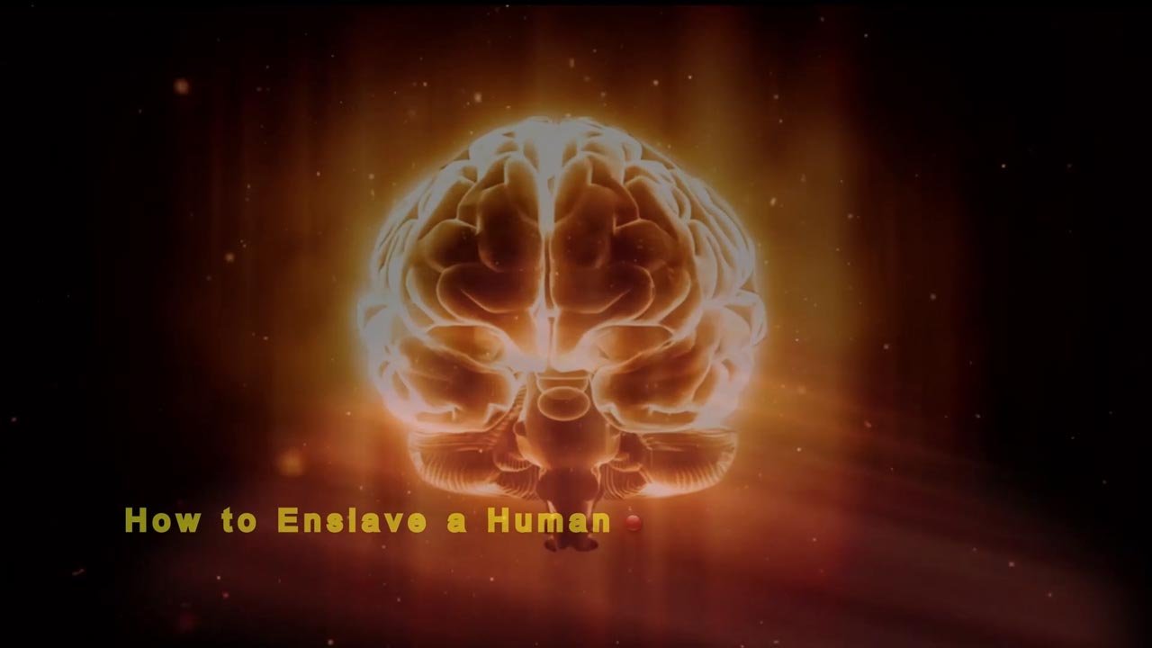 Read more about the article How to Enslave a Human Book Trailer