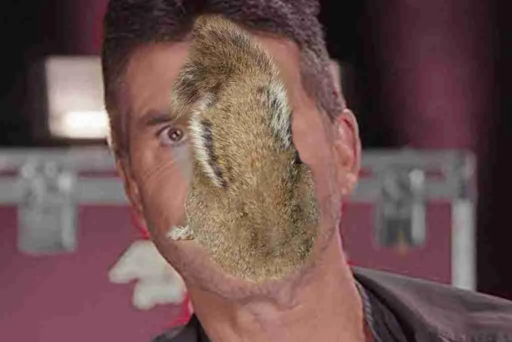 Simon Cowell Sucking a Squirrel