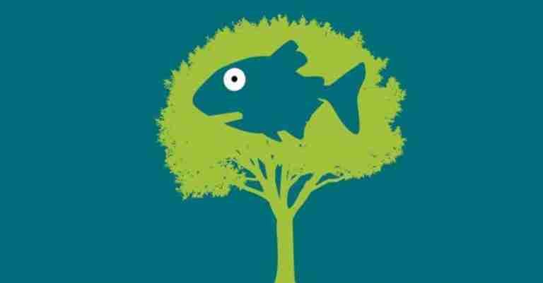 Fish in a Tree