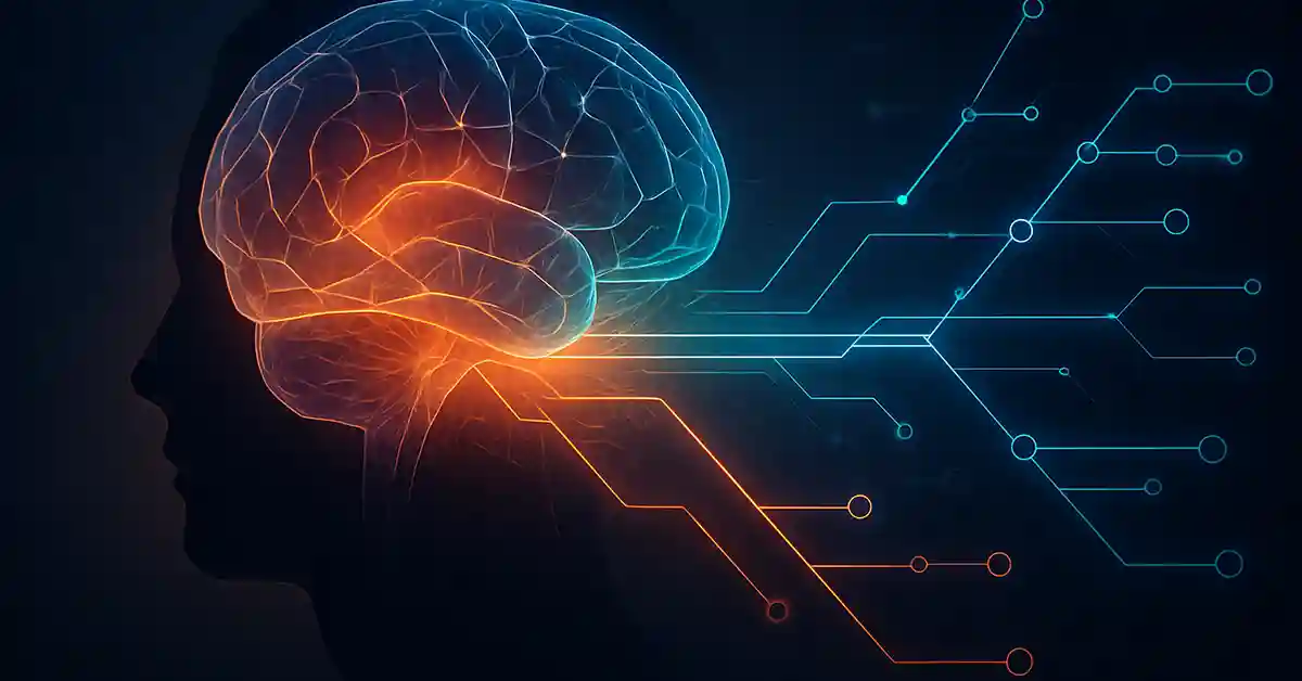 The science of decision making