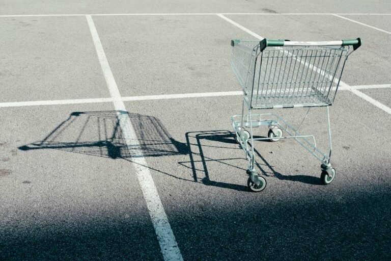 Empty shopping cart illustrating a low-buy year and intentional shopping rules