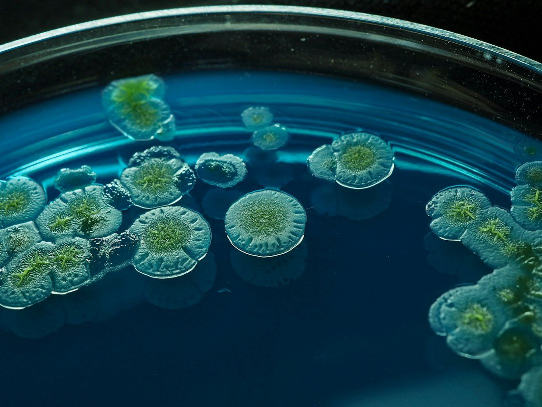 What Is Precision Fermentation? How Microbes Can Make Food Ingredients
