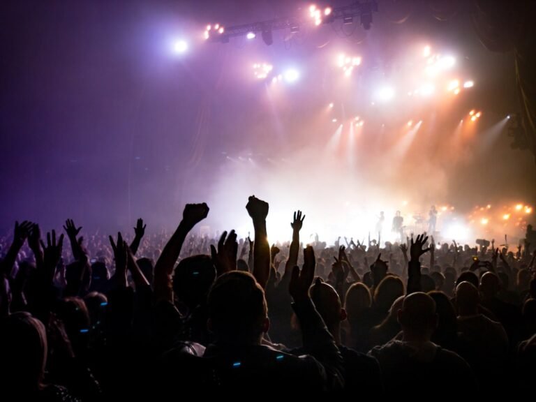 Crowd of music fans at a live concert, illustrating the superfan economy
