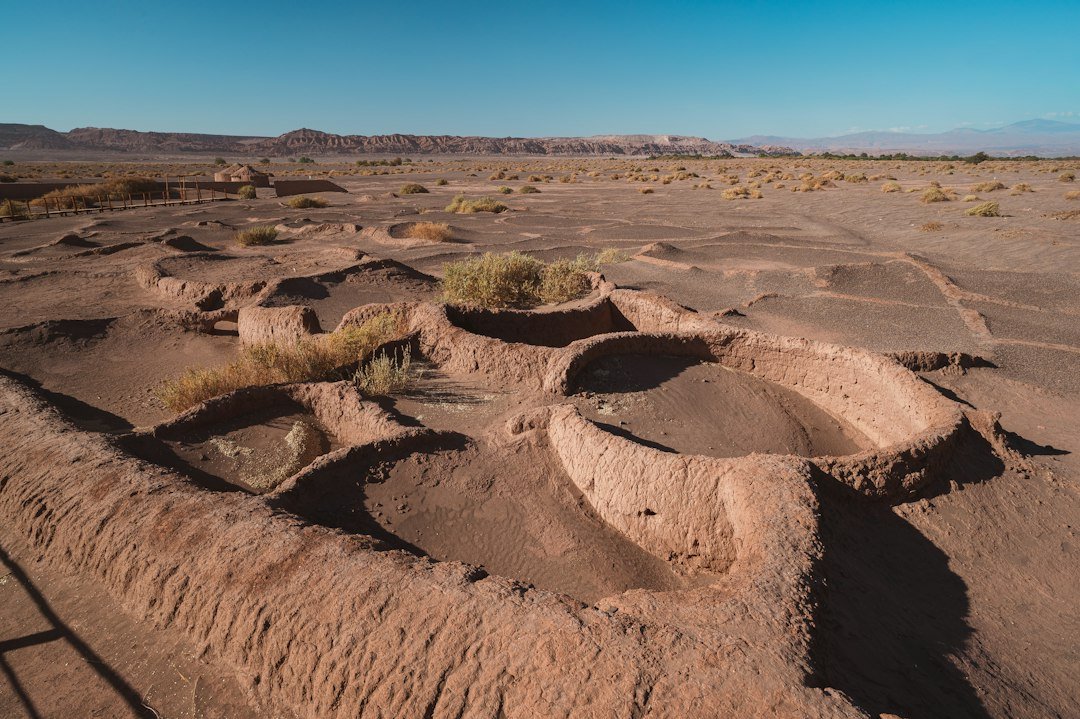 What Are Drought Marks in Archaeology? How Heat Reveals Buried Ruins