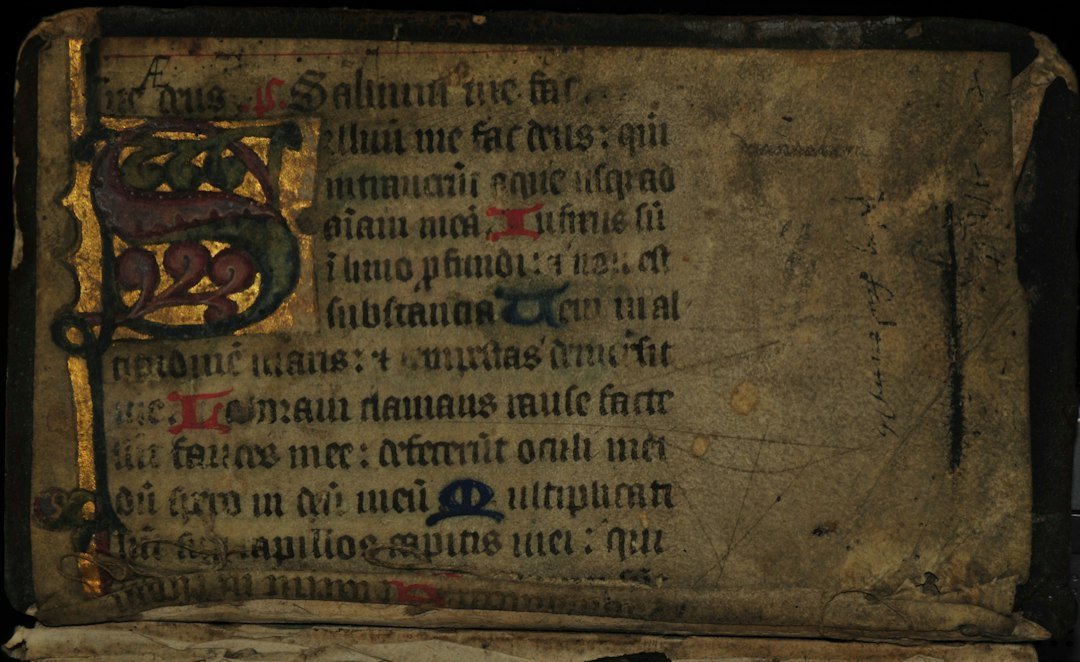 Historical parchment manuscript page used to illustrate medieval snail-combat marginalia
