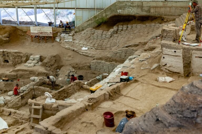Ancient bones in an archaeology research setting illustrating paleoproteomics
