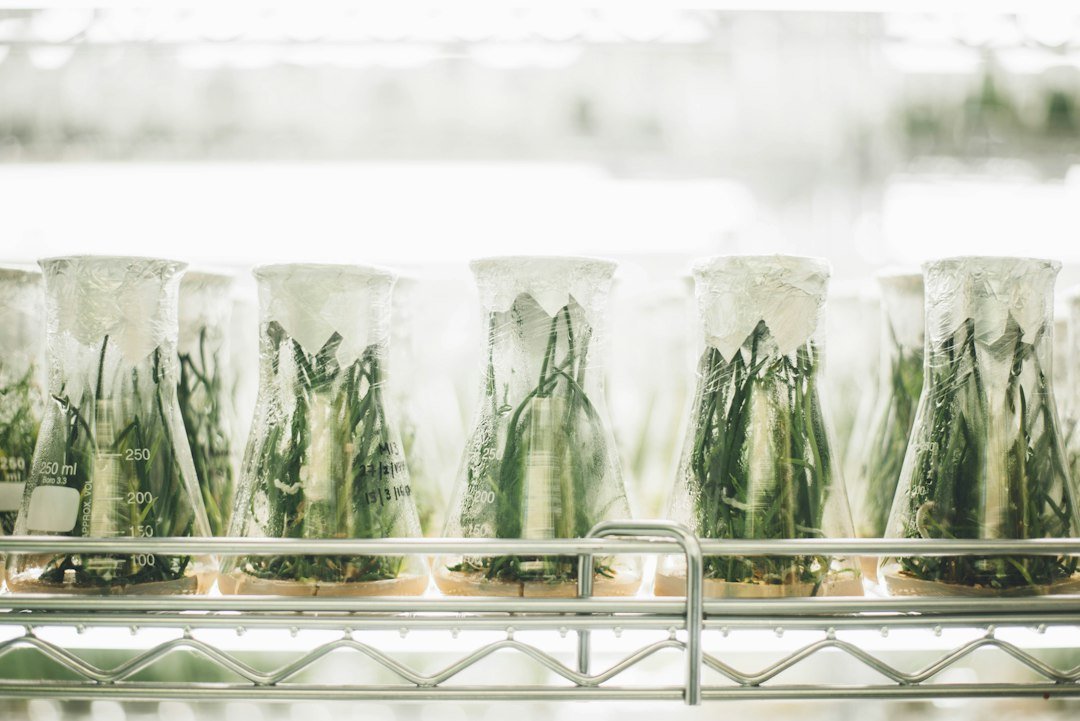 What Is Plant Molecular Farming? How Plants Can Become Biofactories