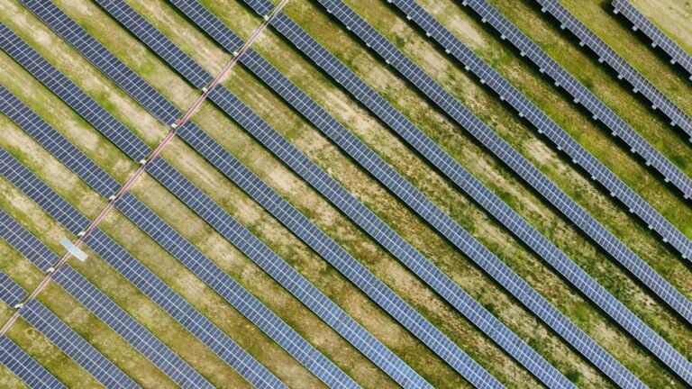 Solar panels across farmland illustrating solar grazing and agrivoltaics