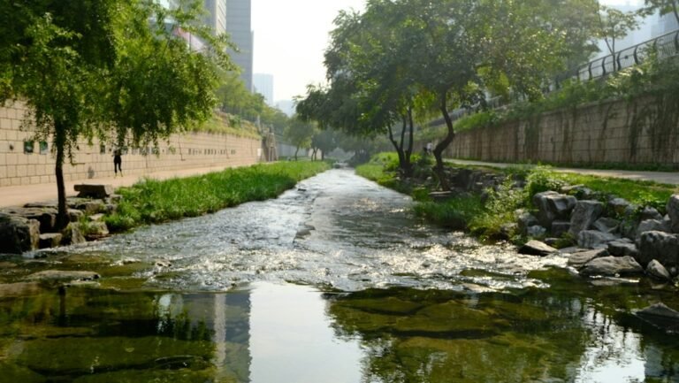Restored urban stream running through a city, illustrating stream daylighting and buried river restoration
